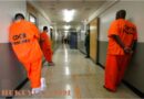 How To Find Inmates in Both Jails & Prisons Using Government Resources In USA